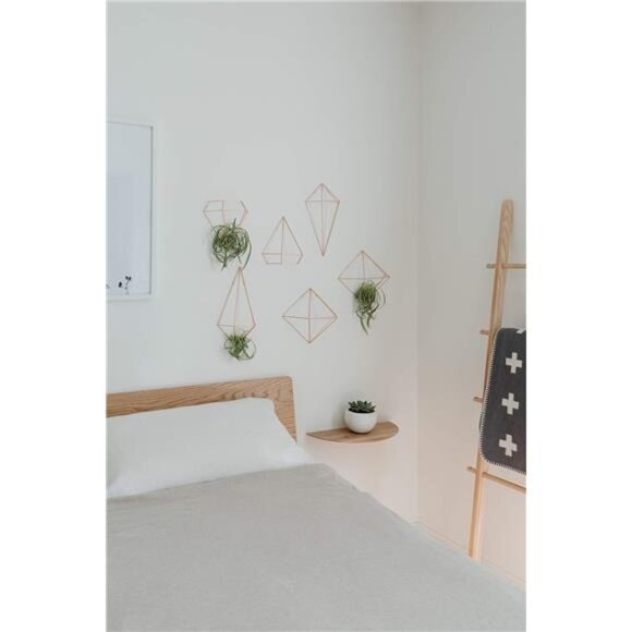 Geometric Sculptures, Decorate Your Wall with Modern Metallic Wire - Picture 6 of 14